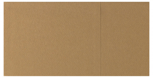 Pochette caramel non tissé 40x40 cm Switty Pro.mundi (50 pièces)